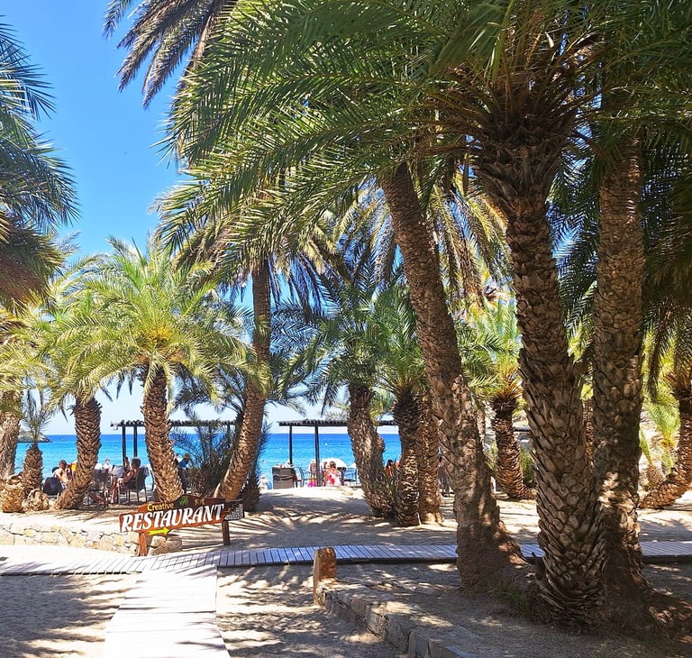 Vai beach, Crete