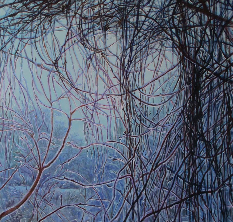 Ice storm with ice on the vines