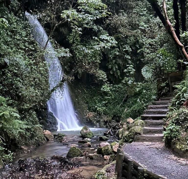 Cascada en McLaren Falls Waterfall Loop
