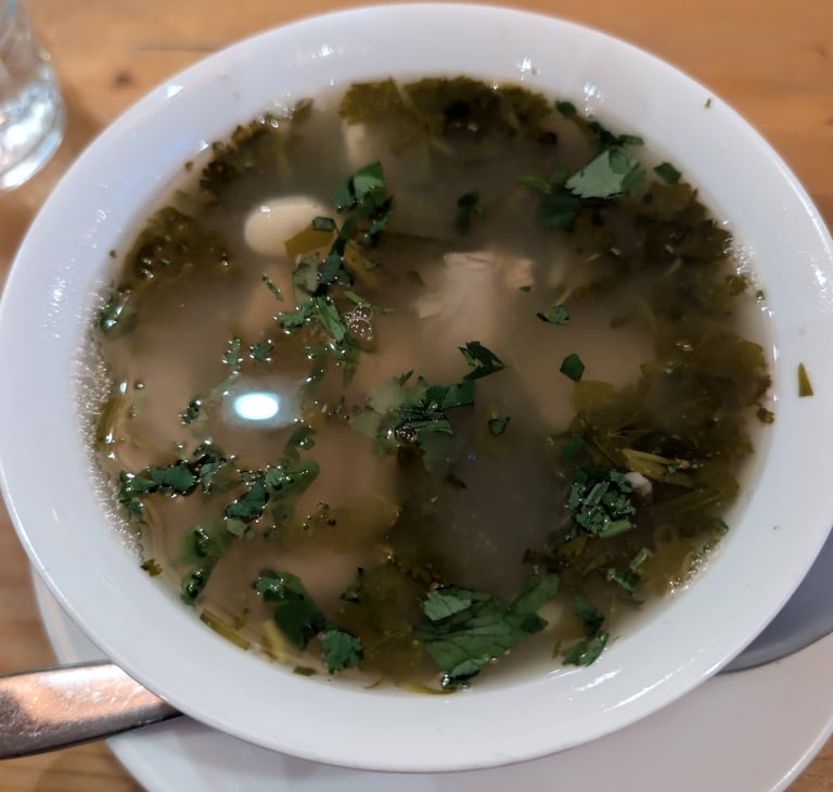 Chakapuli with beef at Gala in Kutaisi Georgia 