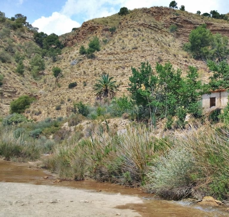 Landscape at the beginning of the Chicamo River gorge. This area in the municipality of Abanilla off