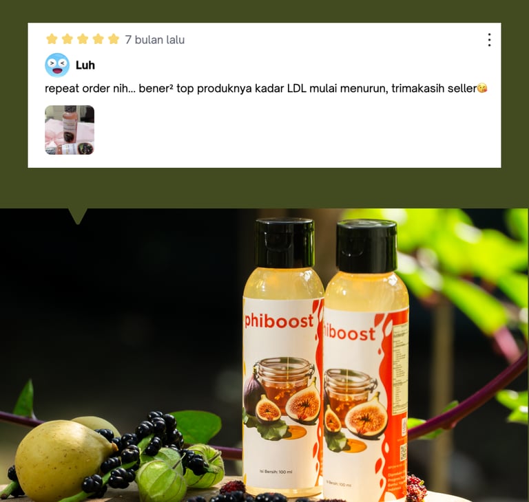 testimoni pelanggan phiboost