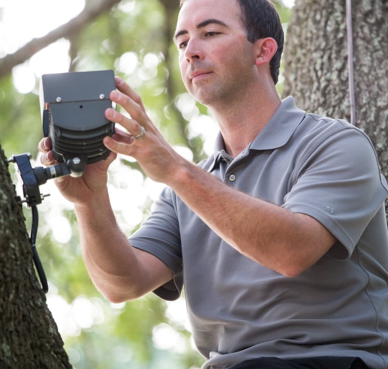 Professional technician installing a landscape lighting fixture on a large tree trunk.