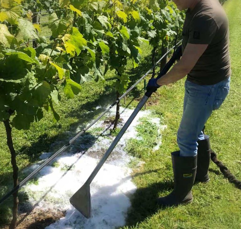 Non Chemical Weed Control Auckland