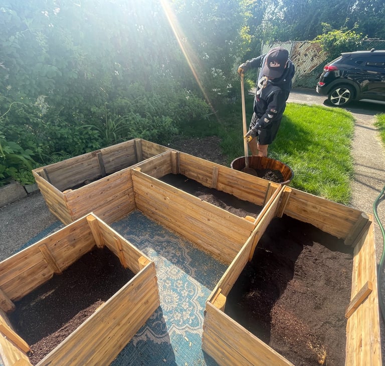 Layered raised garden bed filled using the Lasagna Method with cardboard, organic matter, coco coir
