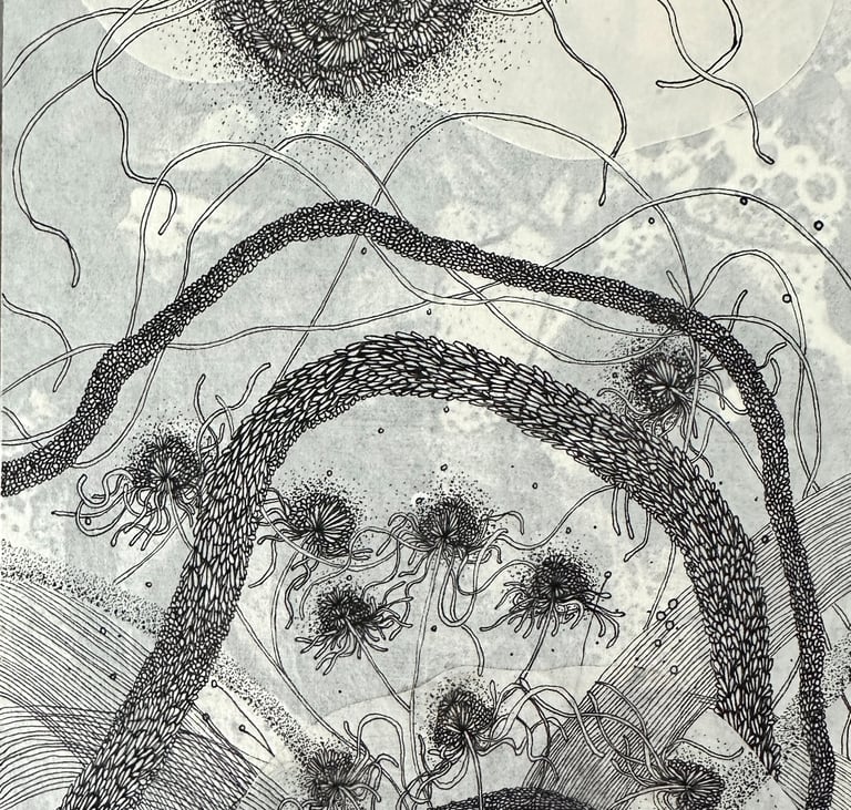 FARAWAY CLOSE - Ink by Janet Griffen