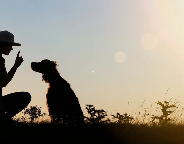 K-SCOOPS.COM | Answers to common pet waste management and pooper scooper service questions