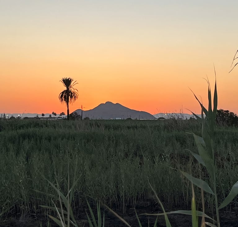 View of Cabezo Gordo from Playa Hita, on the Mar Menor. This hill, where the Sima de las Palomas (Pi