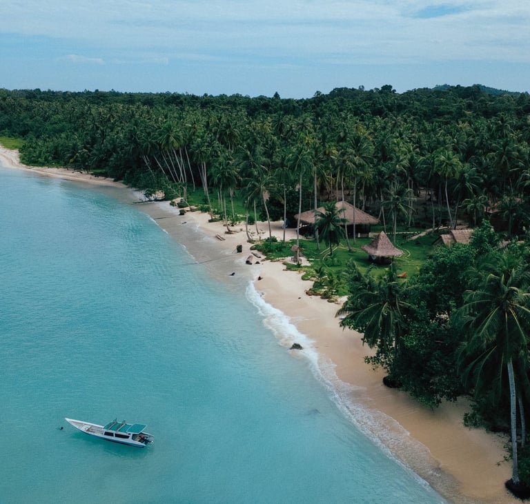 Idyllic beach and palm-fringed coastline of Awera Island, Mentawai — perfect island escape.