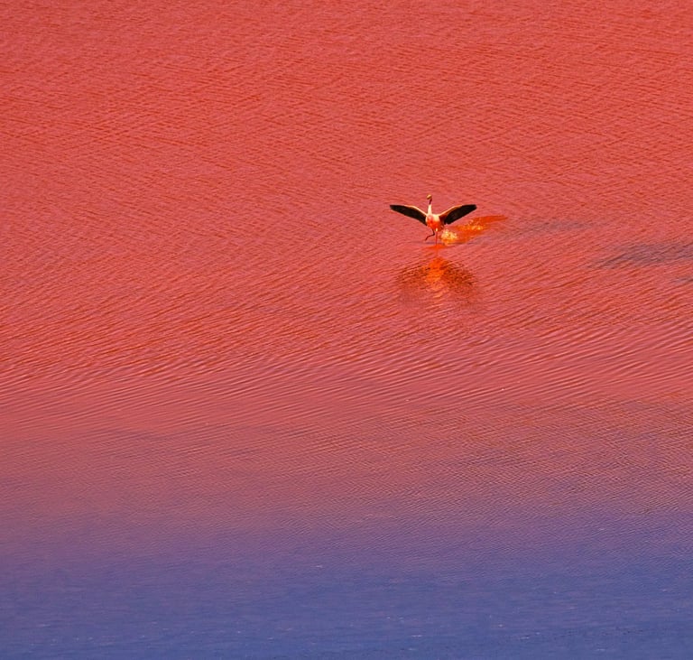 Classic Uyuni Salt Flat Tour Bolivia