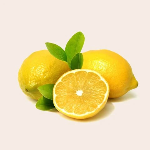a lemonaded lemonaded lemonaded lemonaded lemonaded