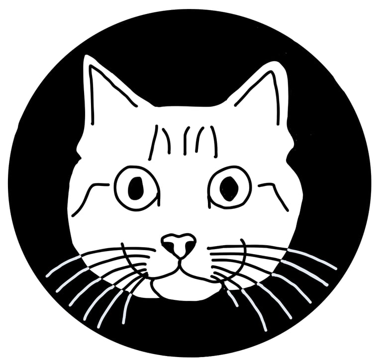 cat face sticking out of hole