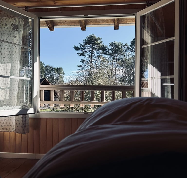 La vue sur les pins depuis le cocon chez Le Secret