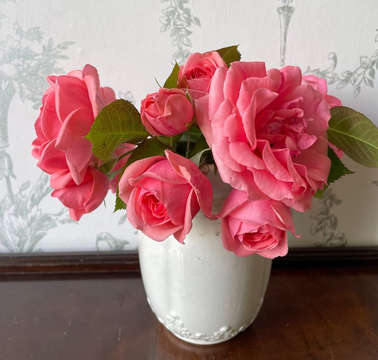 Home grown roses