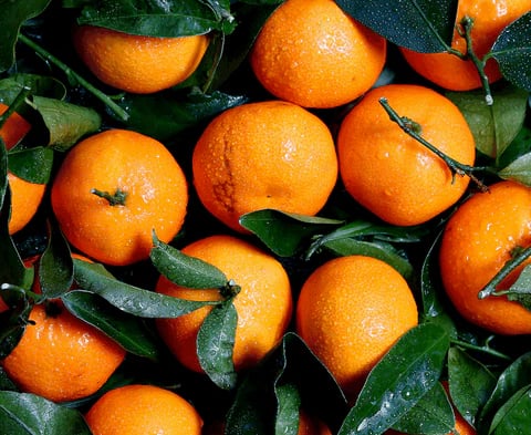 a bunch of oranges are shown in this picture