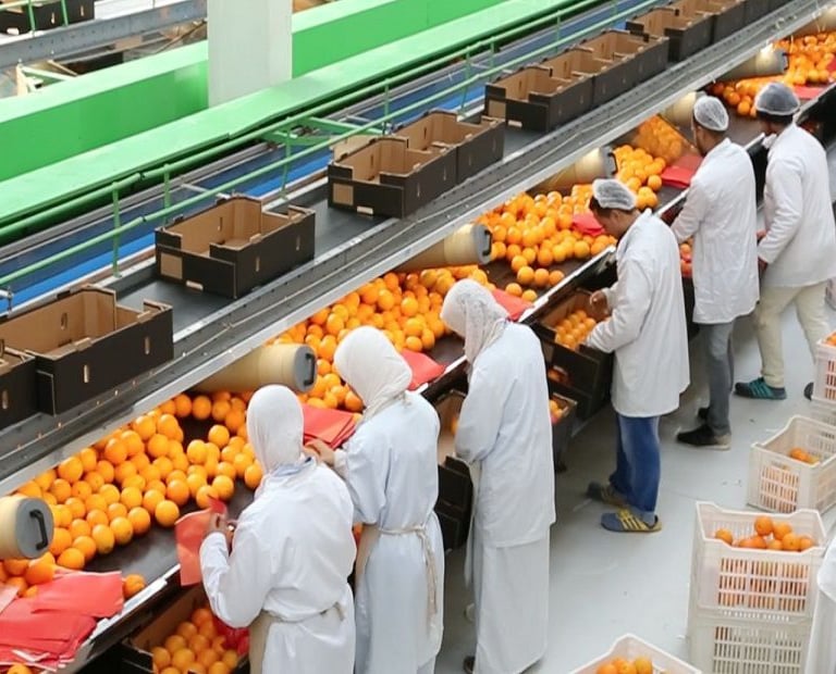 Workers in a sorting Company