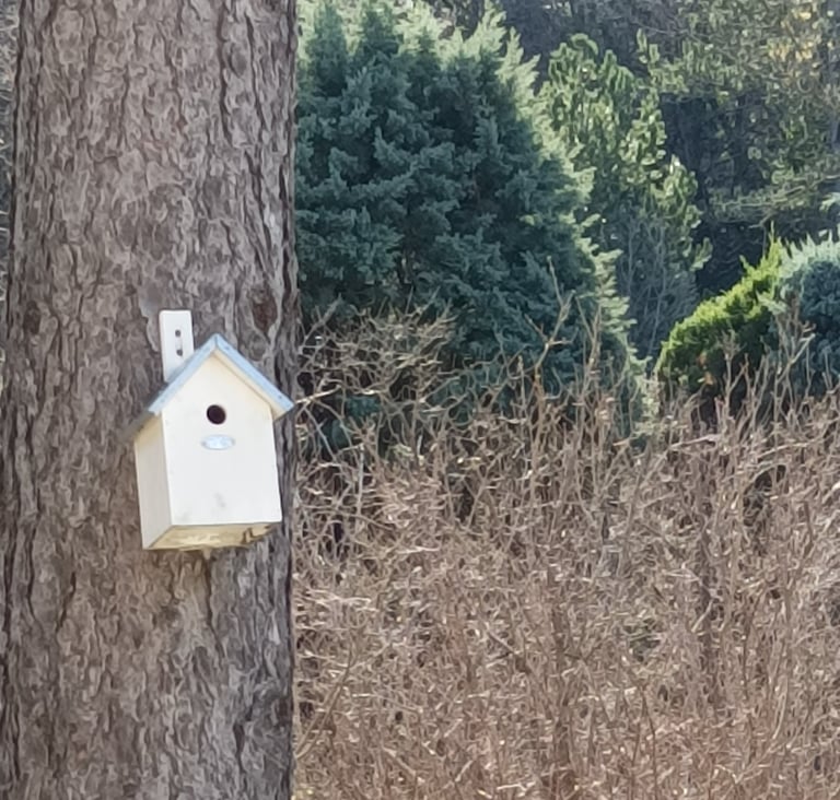 A nesting box for blue tits.