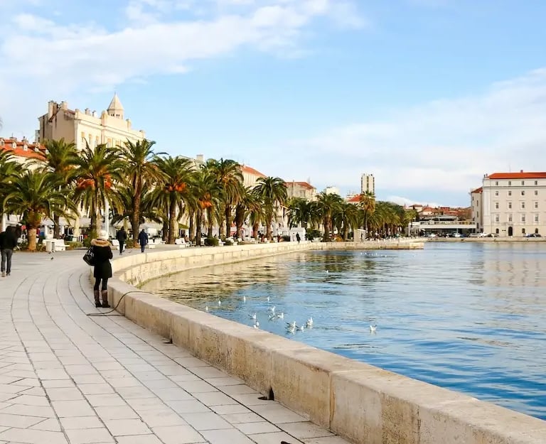 Riva waterfront promenade in Split with palm trees and Adriatic Sea