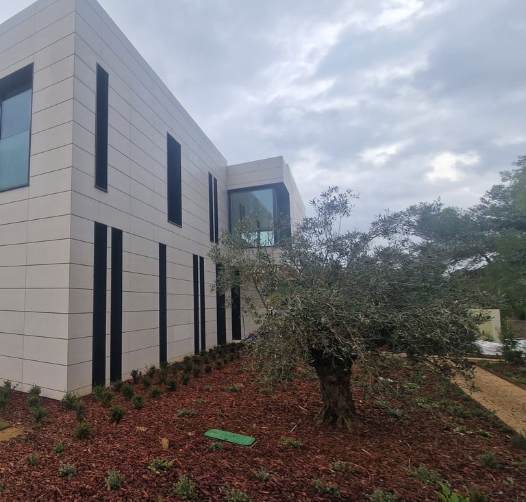 a house with a large window and a small tree