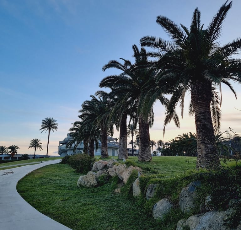 Luxury tropical resort landscape featuring palm trees, a green lawn, and a walkway at sunset.