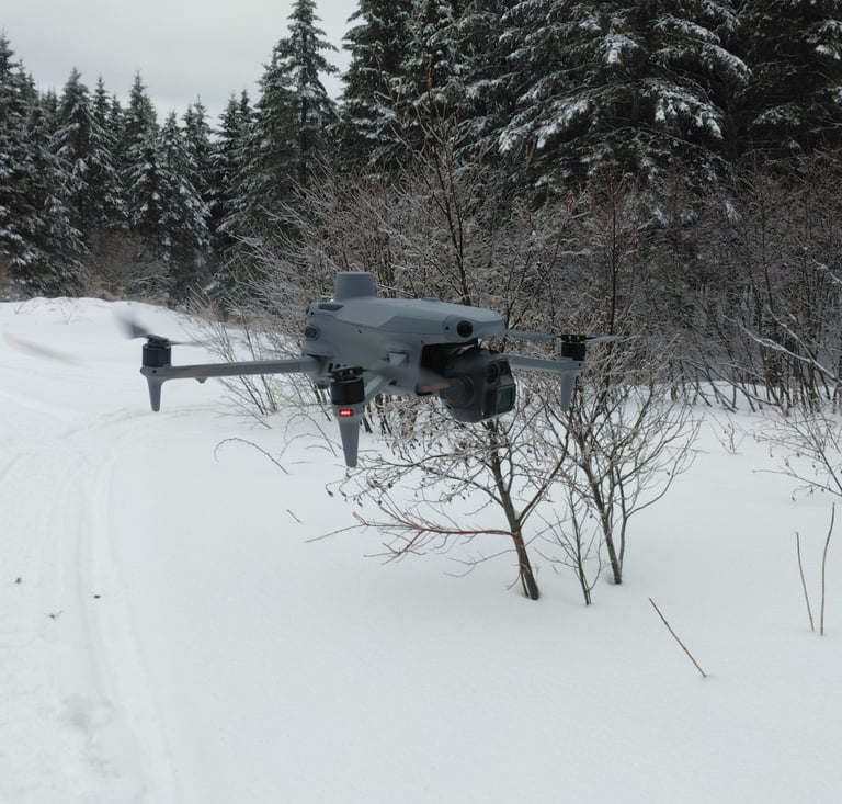 Drone foresterie