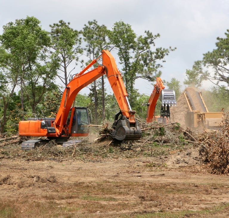 diggers removing fallen trees