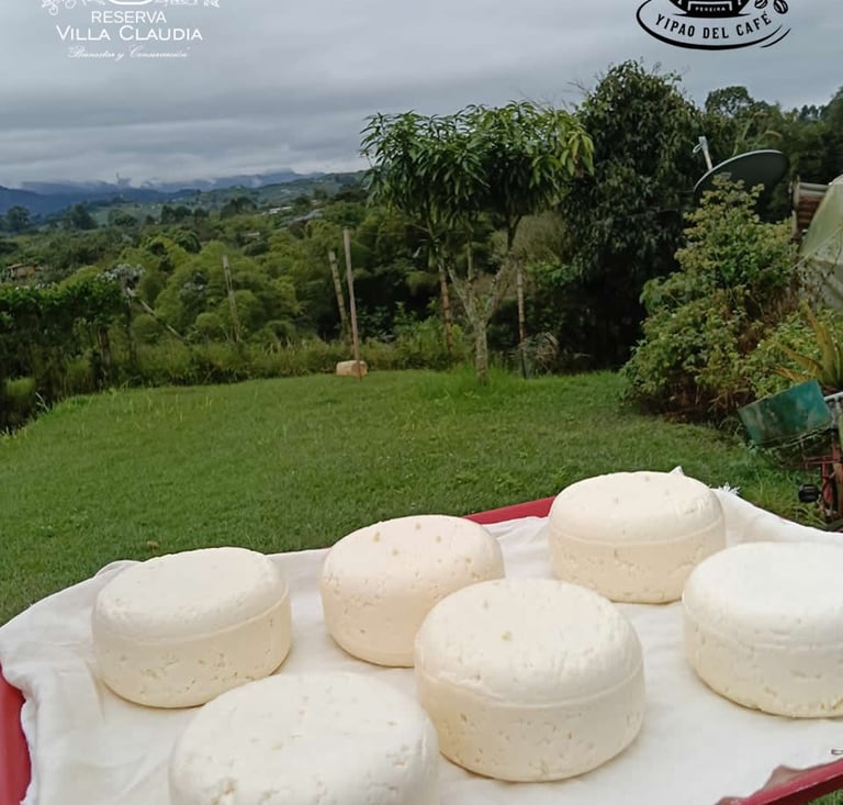 que hacer en pereira colombia