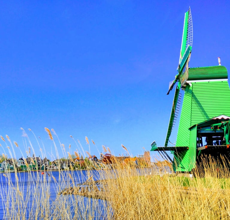 international tour package