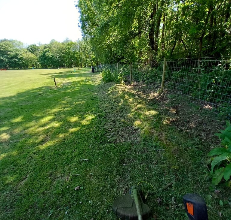 cutting a lawn with a strimmer