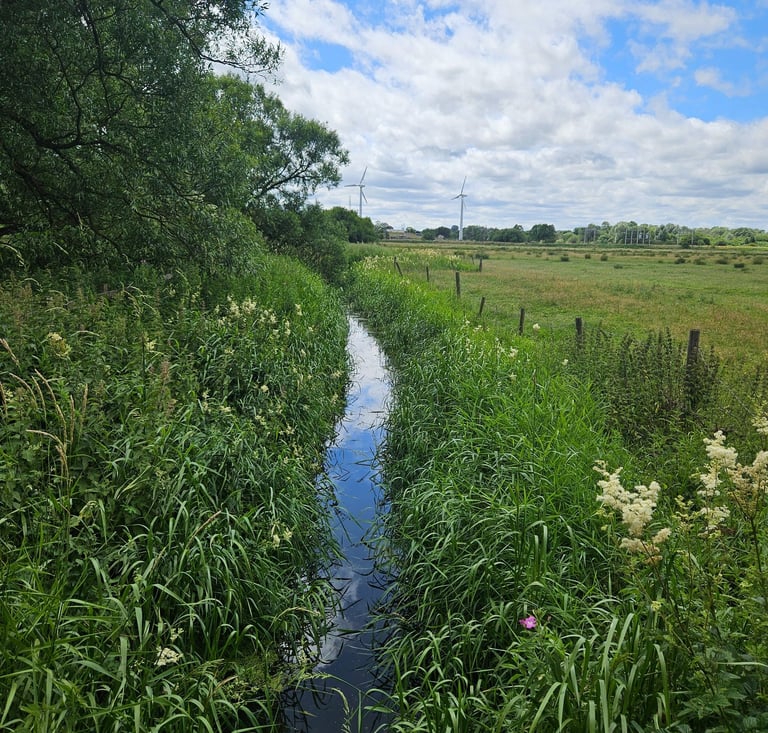 Water Course Pollution 
