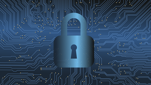 cyber sécurité