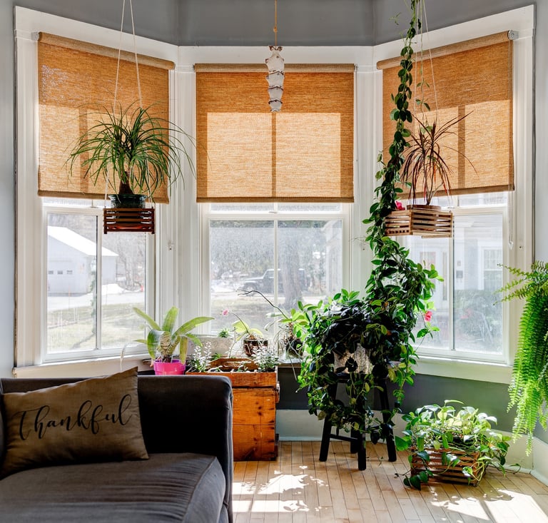 Sun entering a bay window 