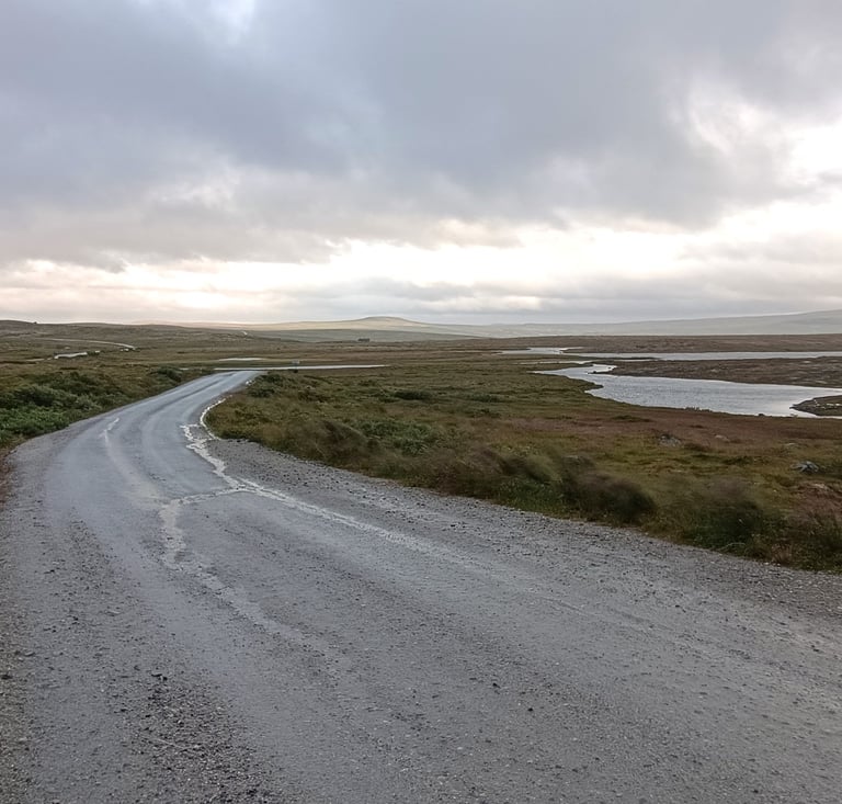 Droga na płaskowyżu Hardangevidda w Norwegii jesienią