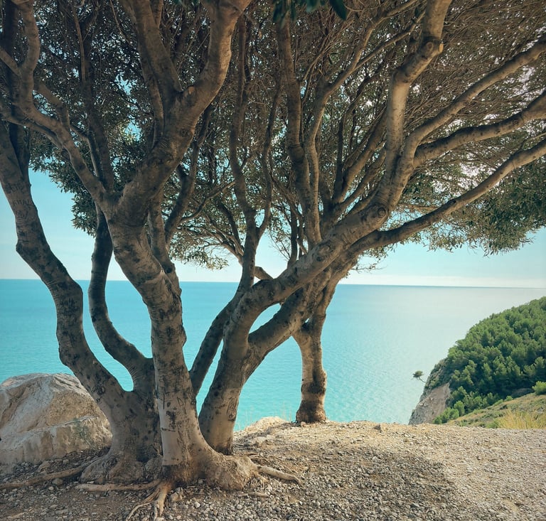 Sobre Nosotros Fautor Peñiscarlón: Nuestra historia y mas de 20 años del mejor servicio