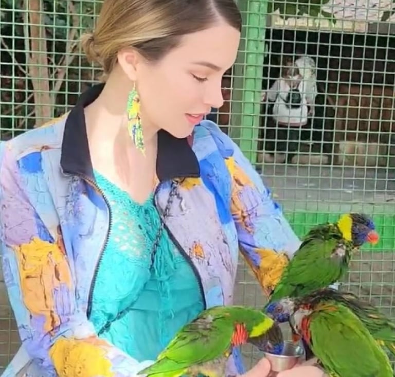Aria with parrots