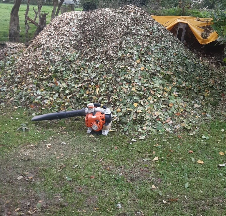 woodchip sales