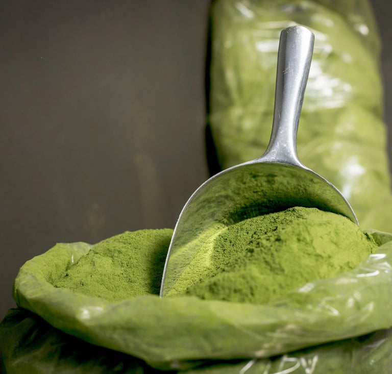 Dried moringa powder - nutrient rich herbal - adely eco nusantara