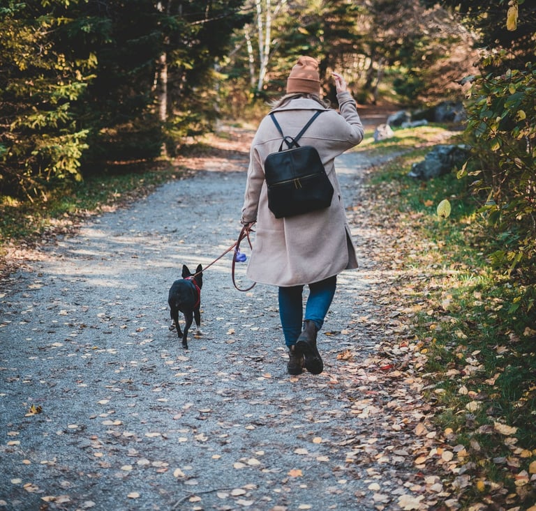 Hundehalterin bei Social Walk mit Hund an Leine