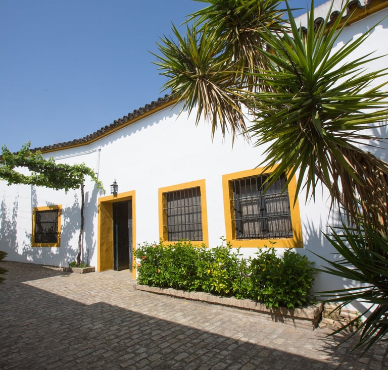 Inside view of Pettersen Brandy's renowned bodega located in Jerez de la Frontera, captured in an image.