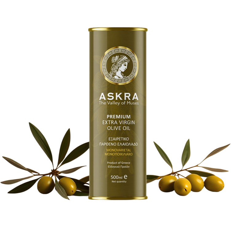 Askra Olivenöl Dose mit Olivenzweige und Oliven