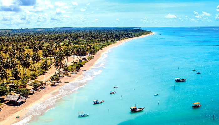 a beach with boats and palm trees in the background