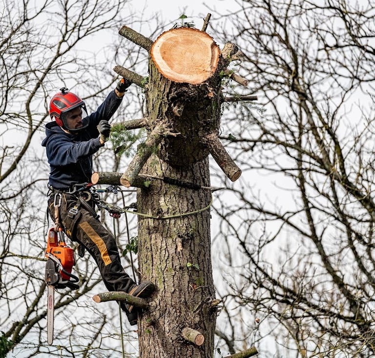 Élagueur professionnel en train de couper un arbre