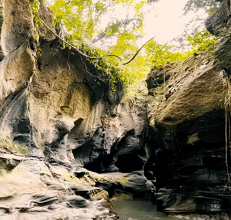 a person standing in a canyon with a dog