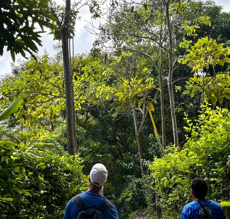 Caminata de naturaleza en Don Diego antes de llegar al rio