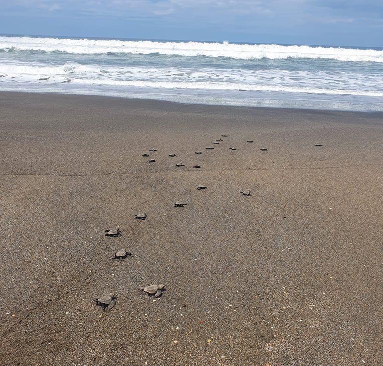 Juan Venado Island | Leon, Nicaragua | The Original Tours