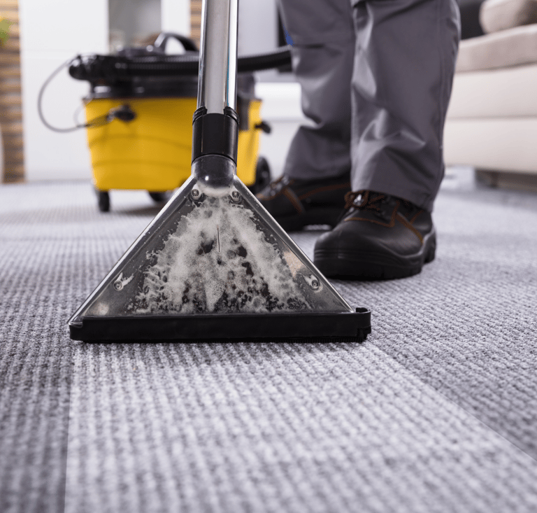 professional Carpet cleaning service
