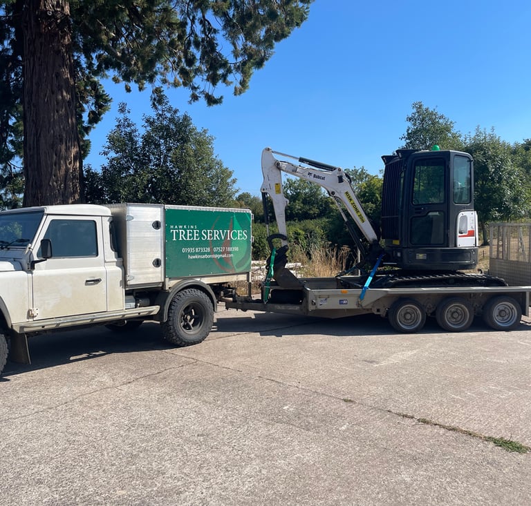 hawkins tree surgeons