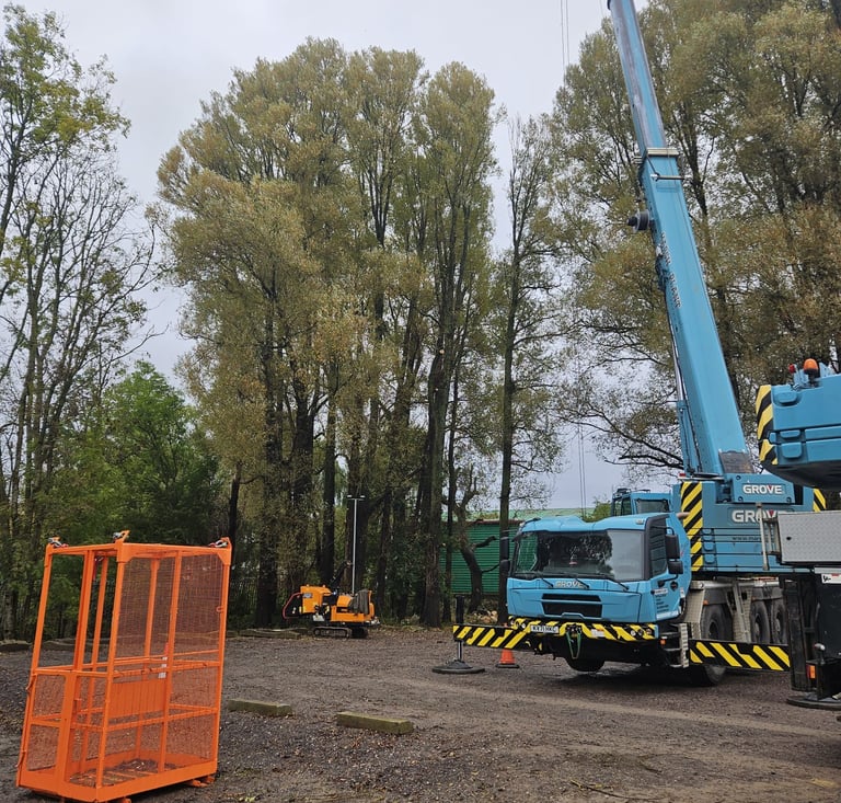 removing a tree with a crane