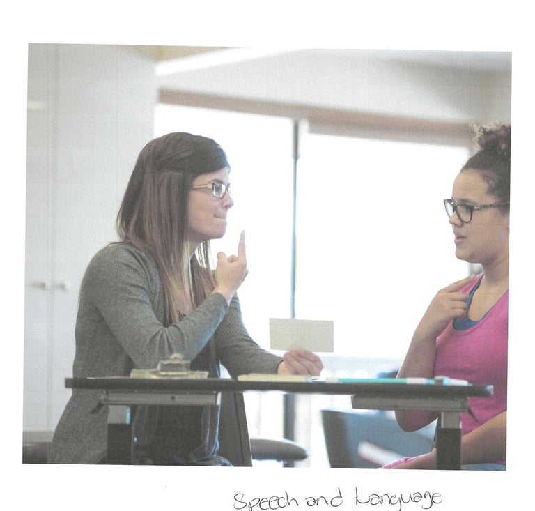 a speech and language pathologist with a client.