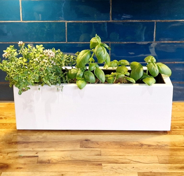 indoor herb planter box made from wood painted in colour white 
